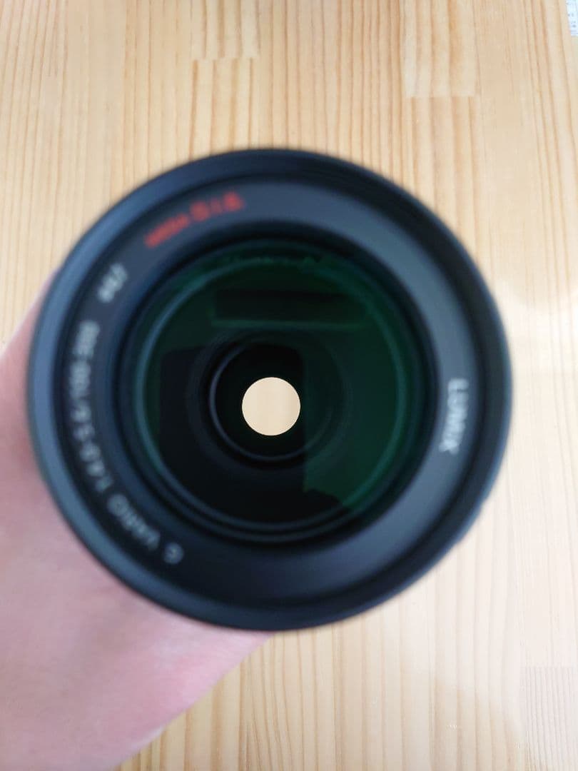 LUMIX ルミックス 100-300mm 4.0-5.6 H-FS100300