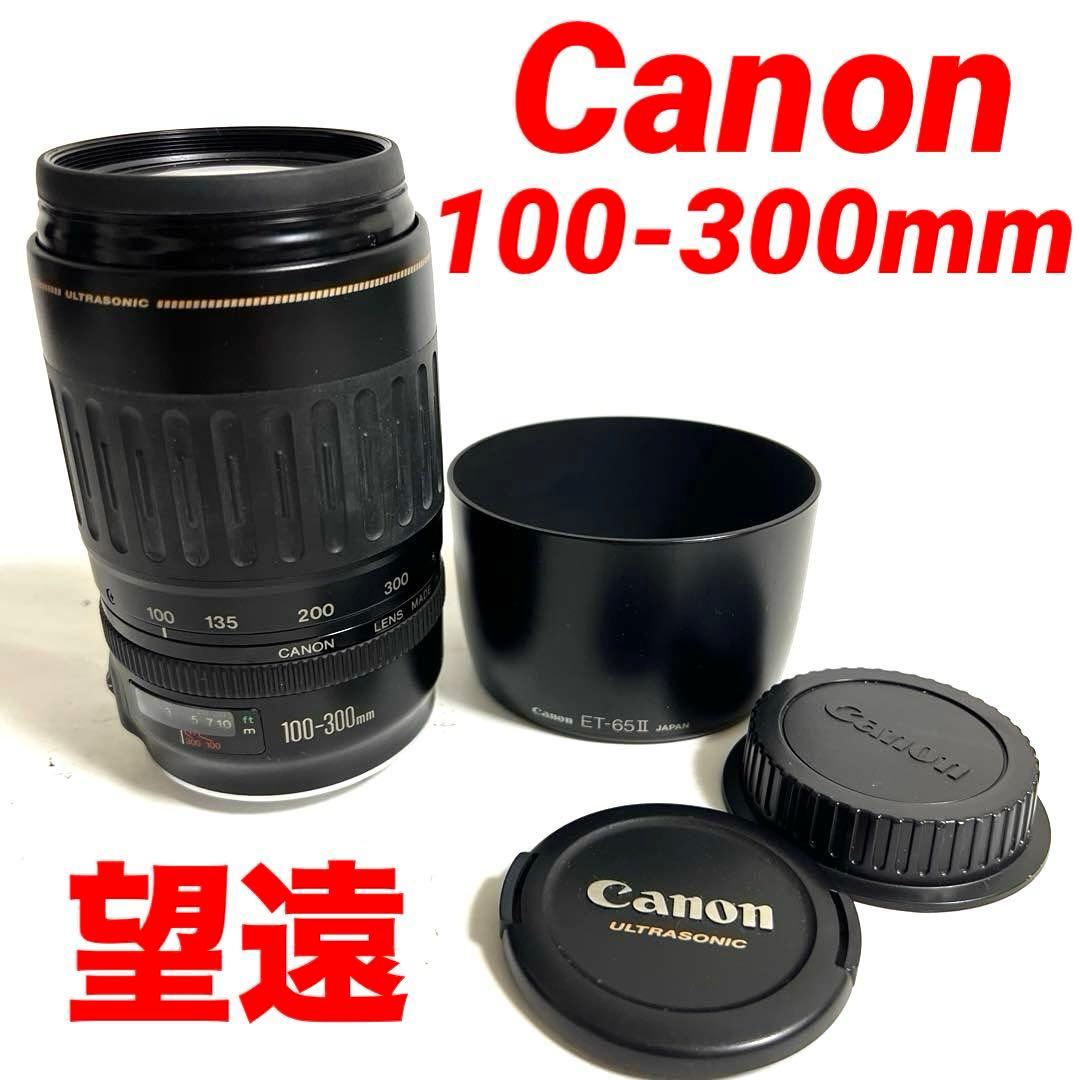 ★美品★Canon EF 100-300mm 望遠レンズ