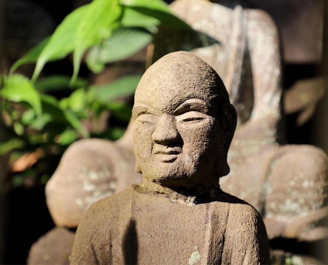 OH済 新品購入 Canon EOS 6D Mark II 2 ii 一眼レフ