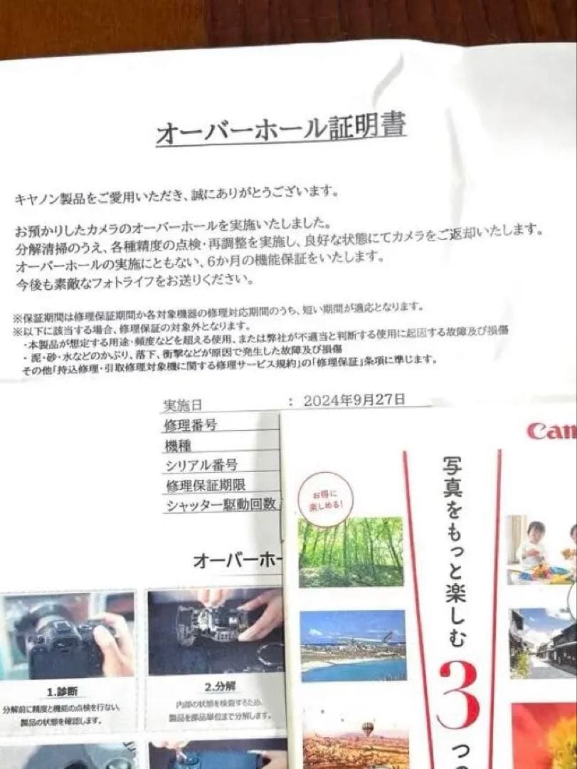 OH済 新品購入 Canon EOS 6D Mark II 2 ii 一眼レフ