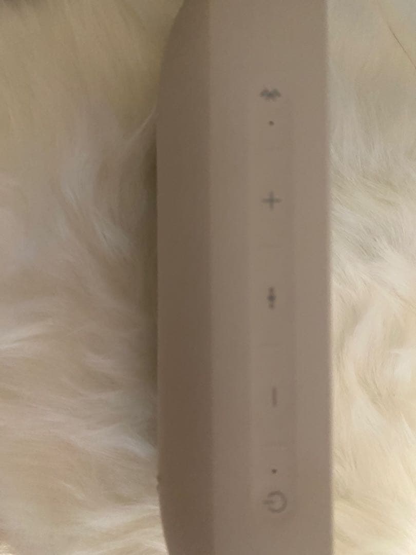 BOSE/ SoundLink Flex / Bluetoothスピーカー