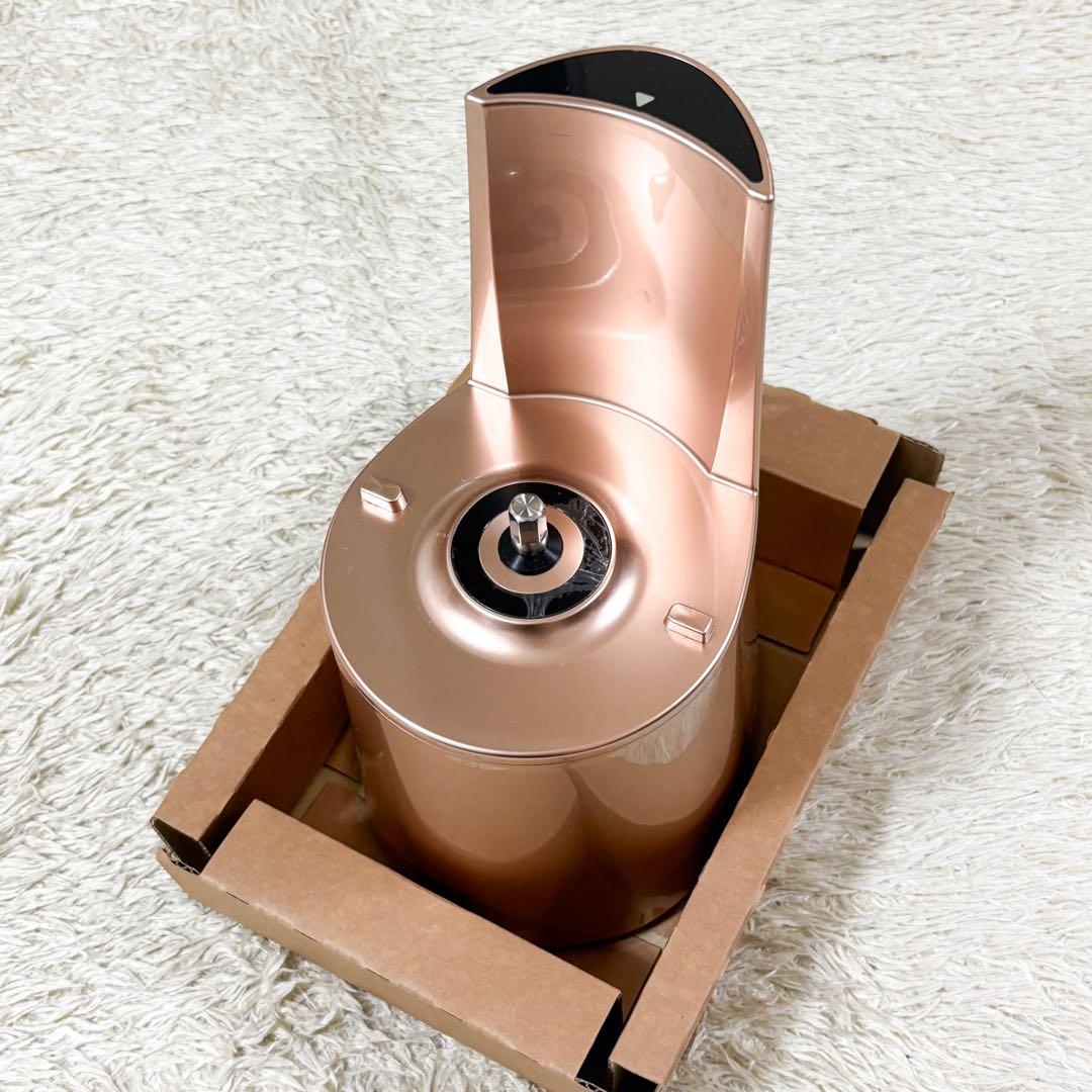 【極美品】HUROM ヒューロム スロージューサー ローズゴールド