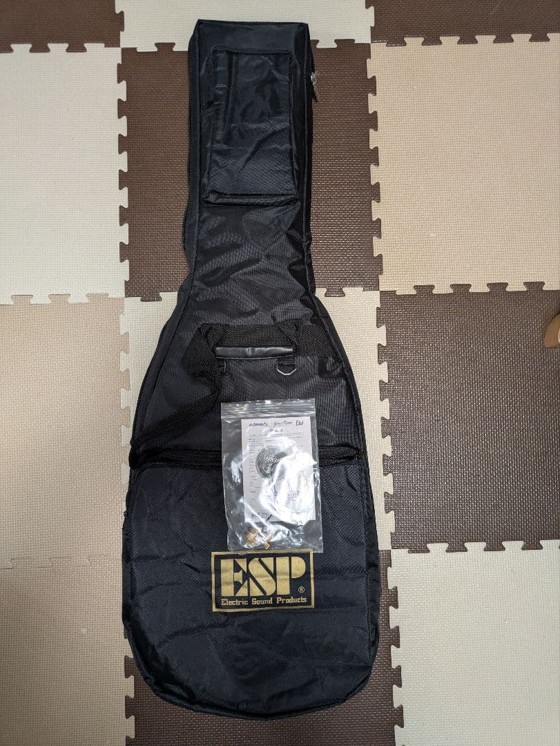 【美品】 the GazettE 麗 モデル　Edwards E-U-HL2 黒