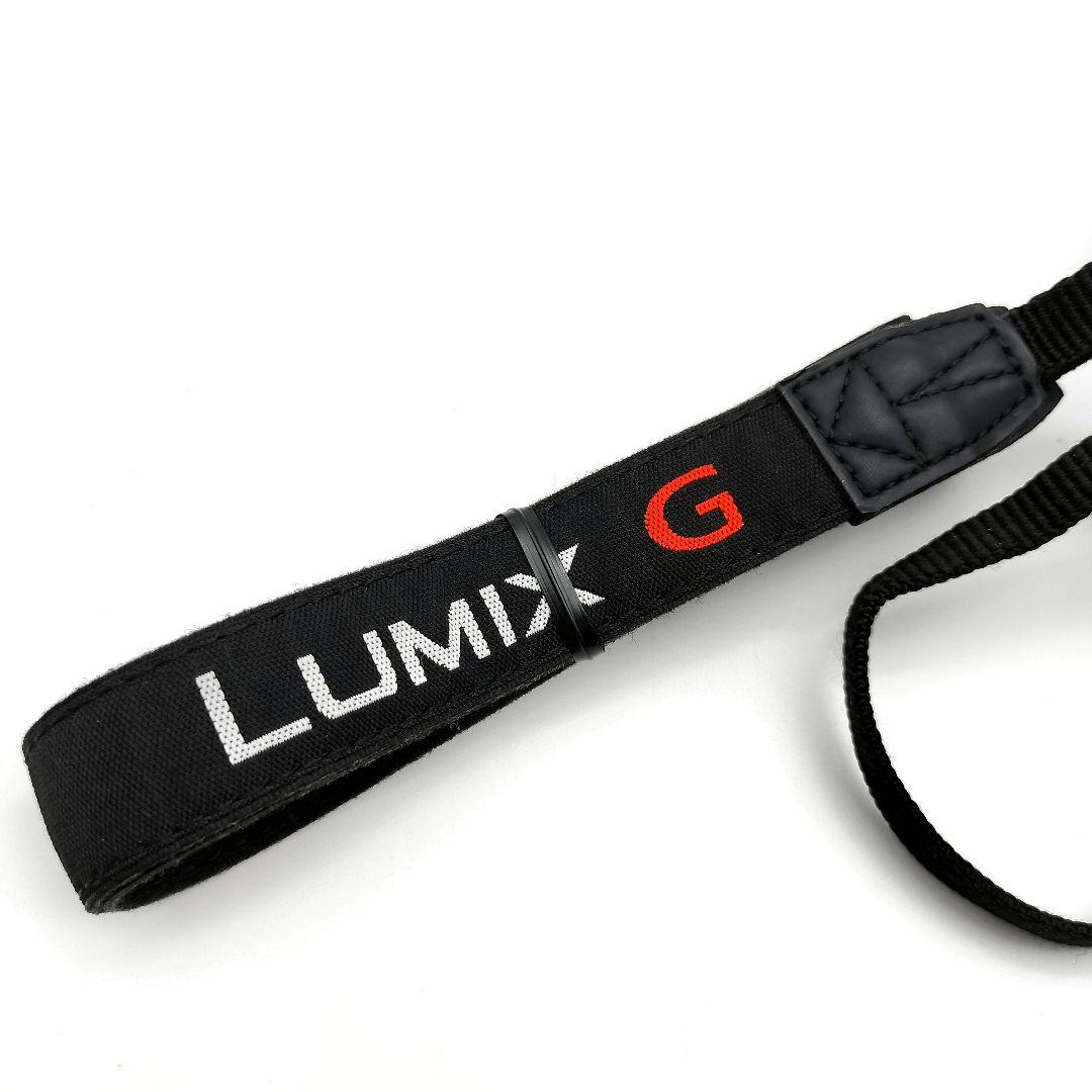 LUMIX DMC-G3 ミラーレス一眼 ボディ Panasonic