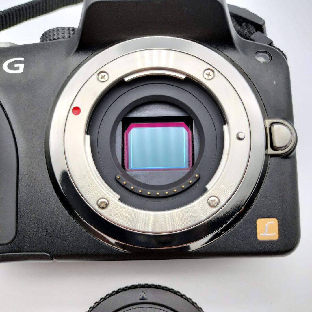 LUMIX DMC-G3 ミラーレス一眼 ボディ Panasonic