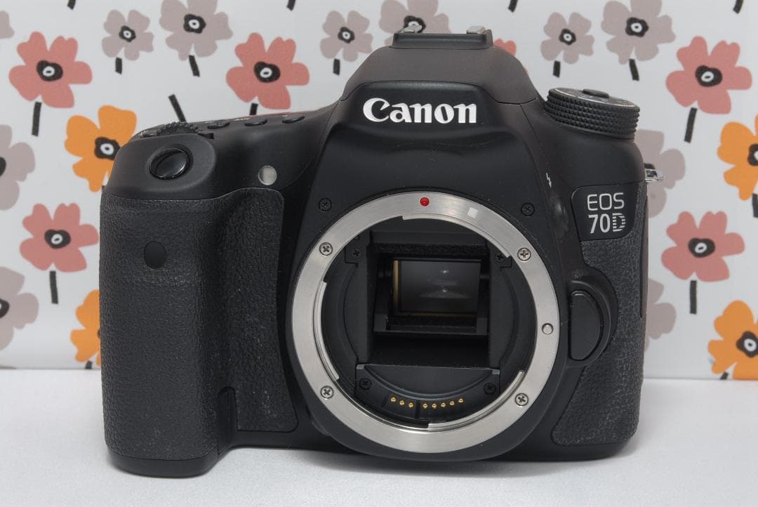 ❤Canon EOS 70D❤S数976回❤Wi-Fi接続❤手振れ補正レンズ❤
