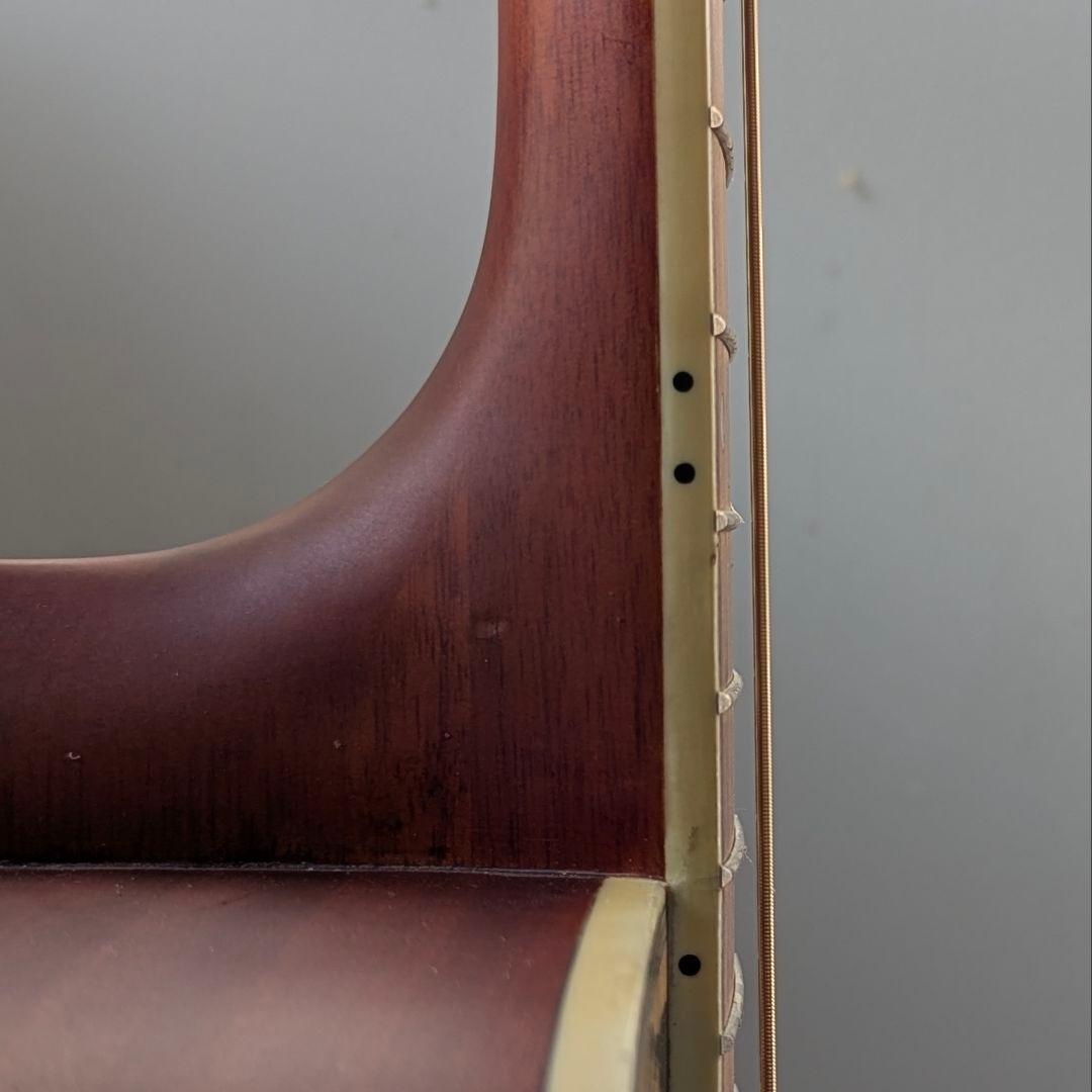 Elioth製カスタムフォークギター