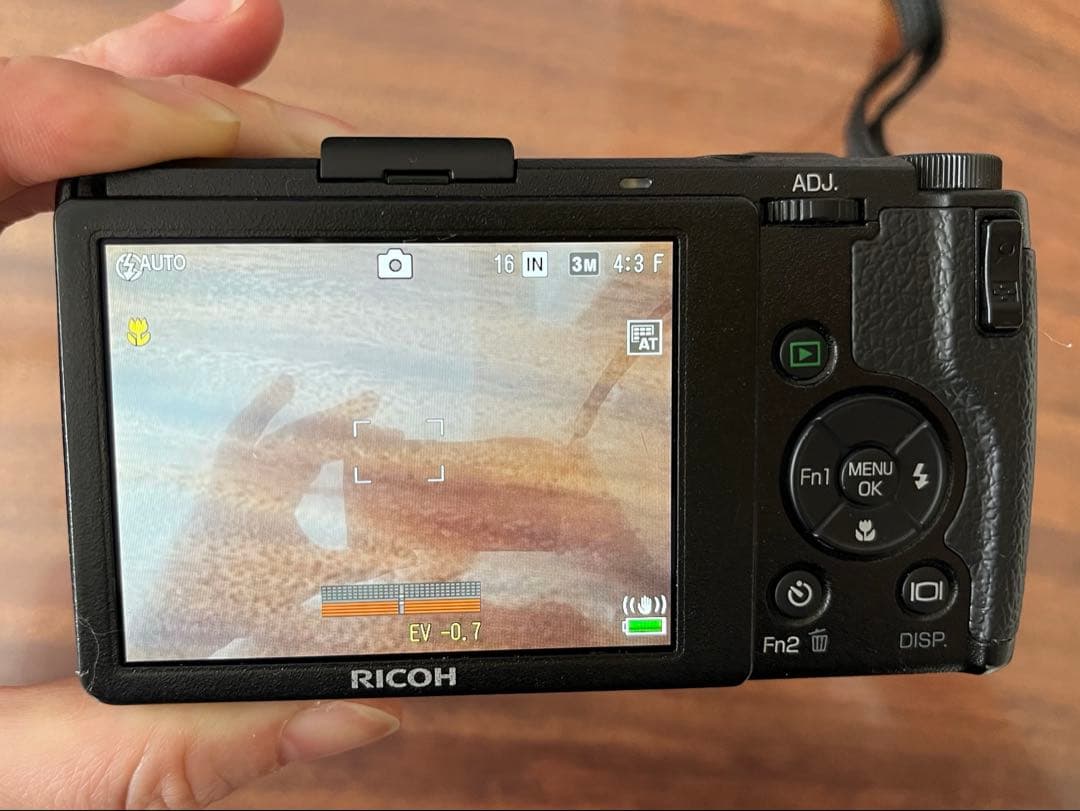 【ショット数極少】RICOH GR DIGITAL IV ブラック