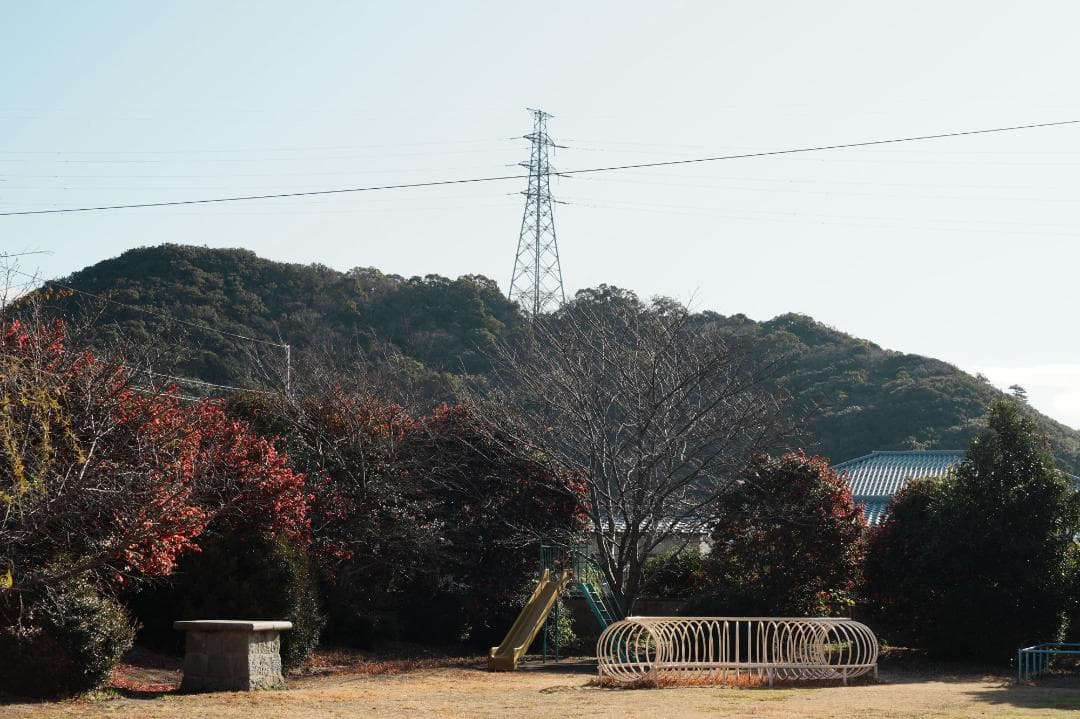 【整備＆テスト】オリンパス Zuiko Auto-S 38mm f1.8 174