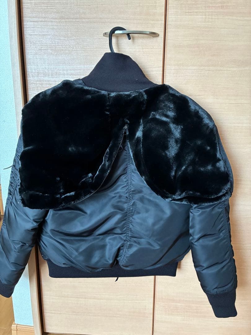 ノースフェイス レディース ジャケット