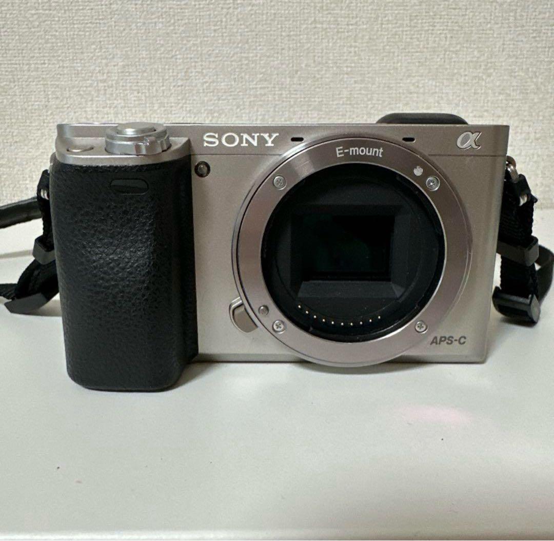 SONYミラーレス一眼 α6000 / 単焦点 E 35mm F1.8 OSS