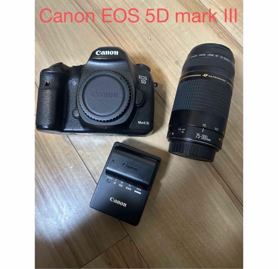 デジタル一眼レフカメラ/Canon EOS 5D MarkIII望遠レンズセット