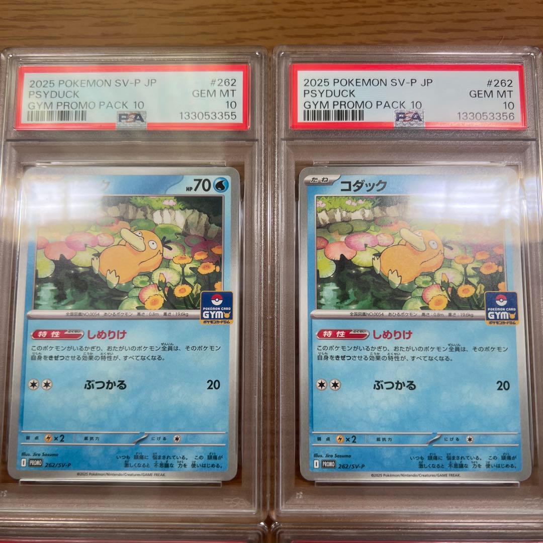 PSA10 コダック　プロモ　しめりけ　262/SV-P 4連番