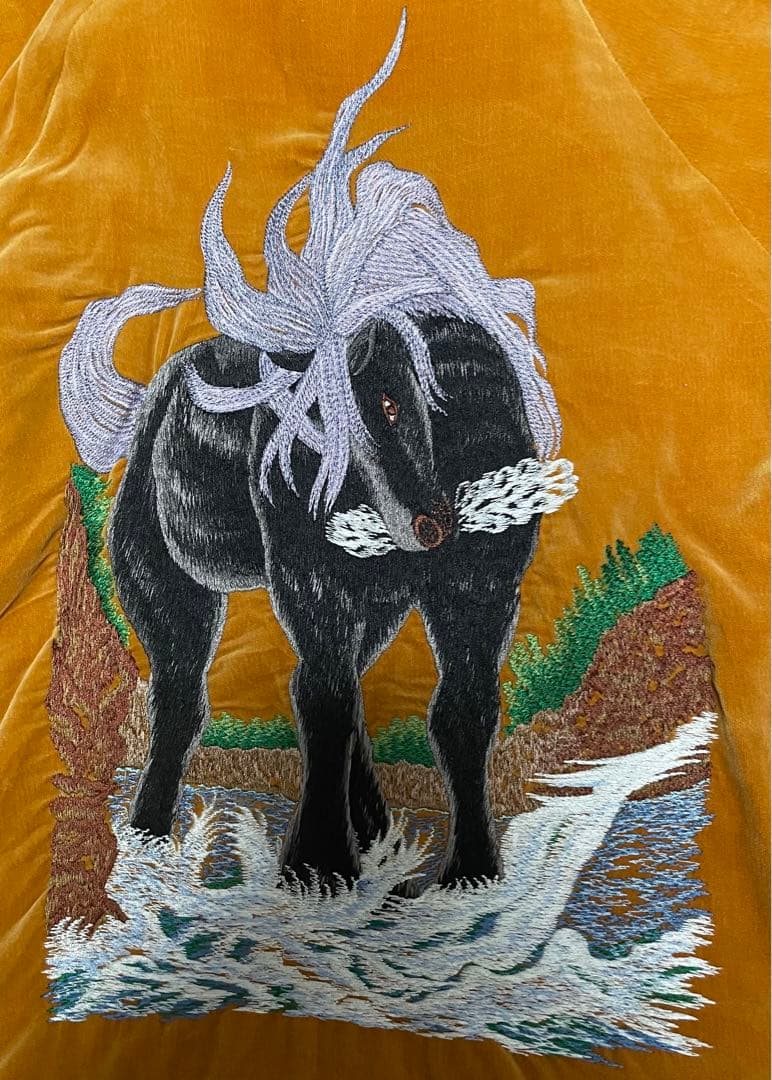 ドライボーンズ✖️デルボマーズ別注　スカジャン