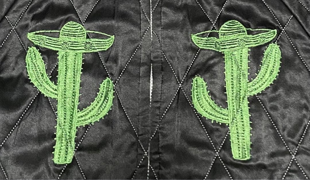 ドライボーンズ✖️デルボマーズ別注　スカジャン