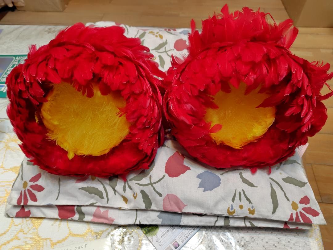 フラダンス 楽器ウリウリ 赤