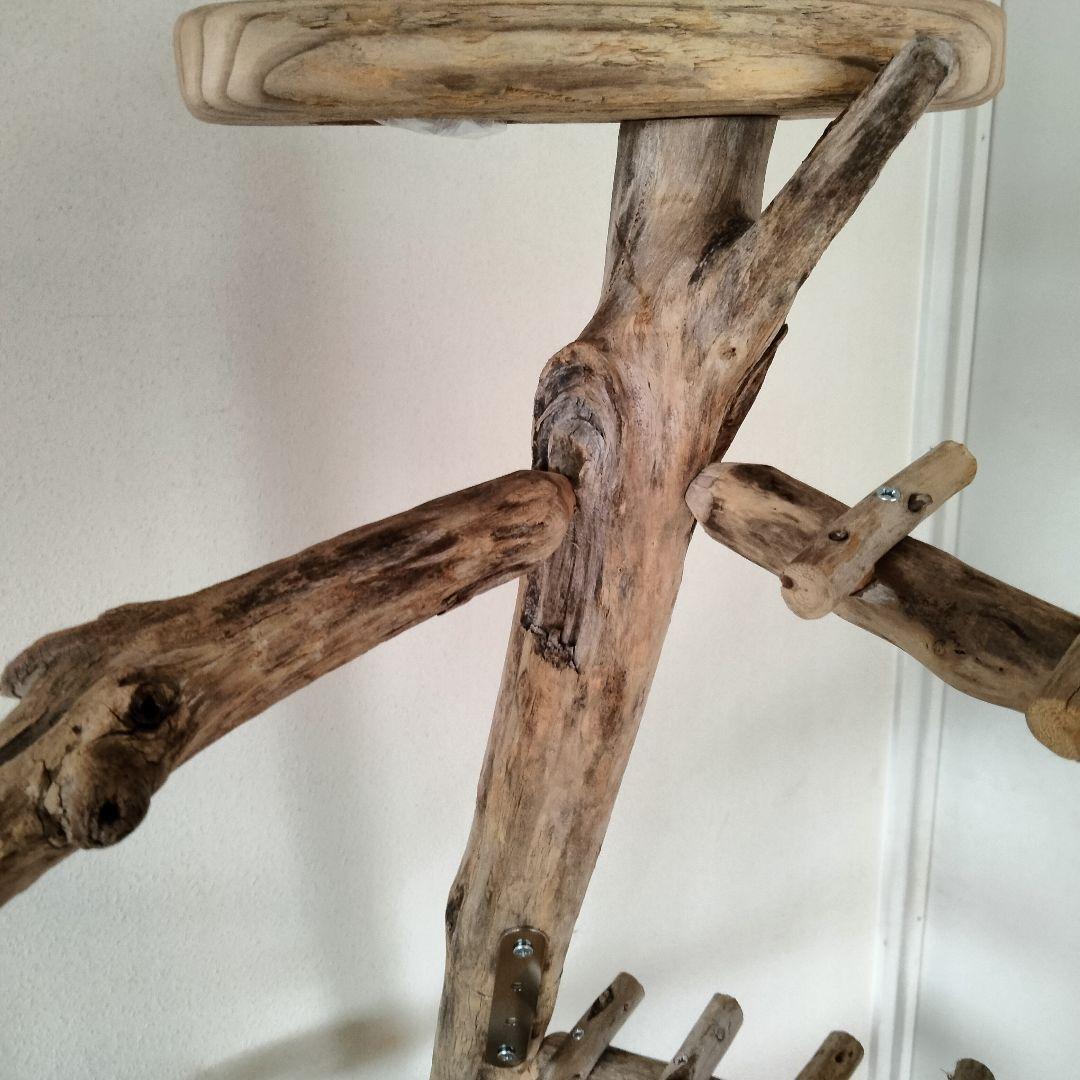 KURIONE SHOP バードアスレチックジム 自然木 流木 止まり木