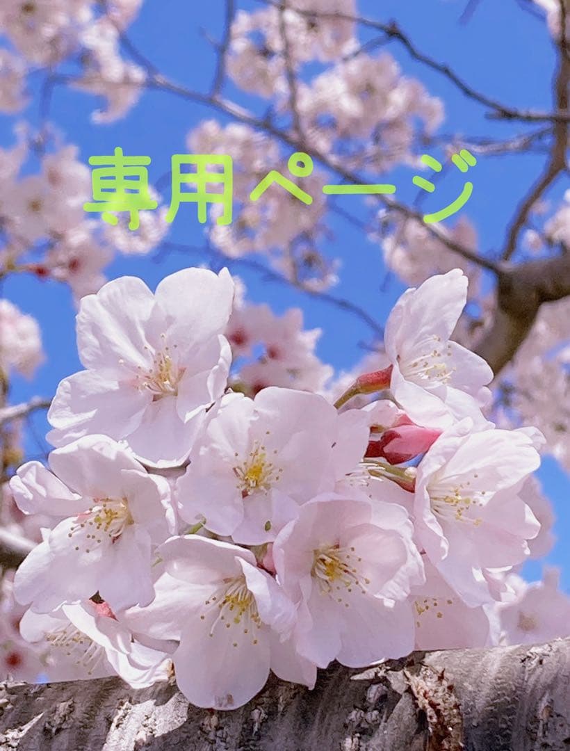 COACH 黒 レザー トートバッグ