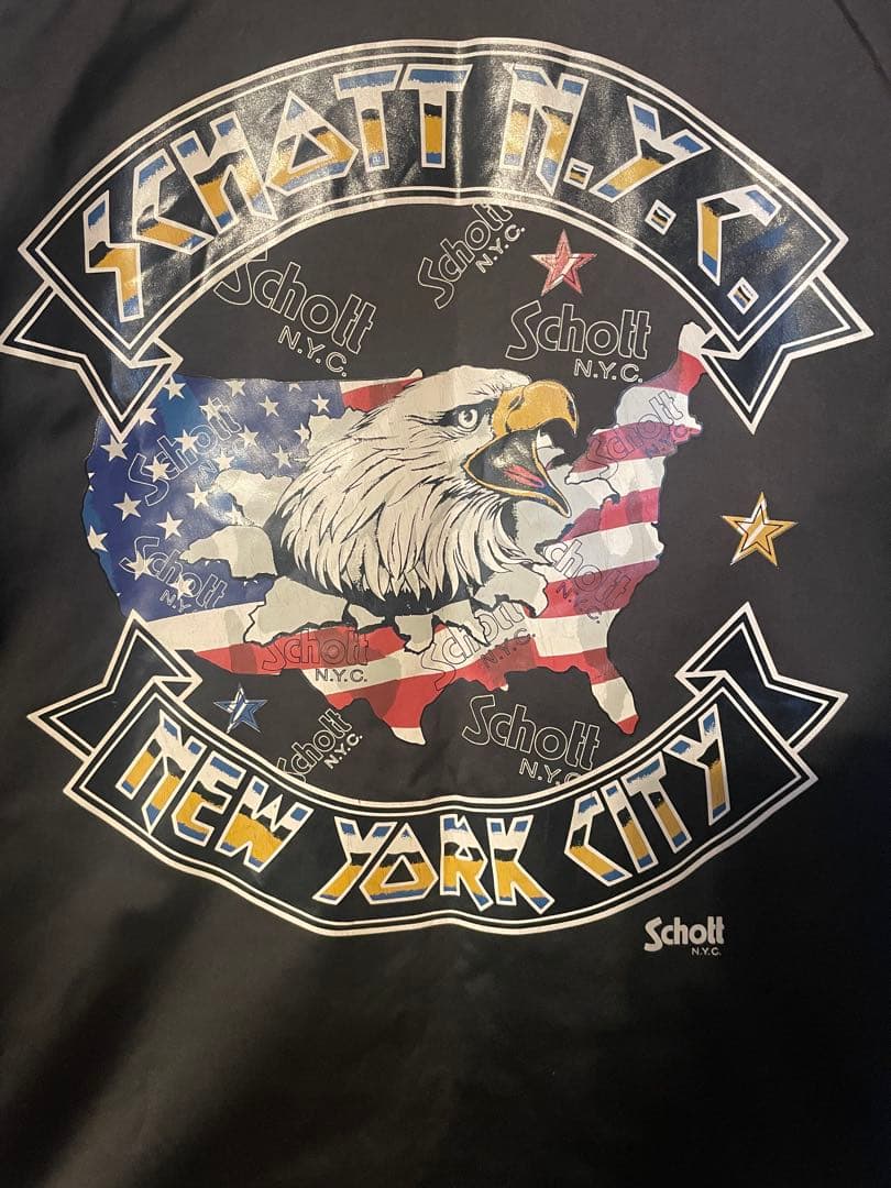 【極希少/美品】Schott ショット コーチジャケット 鷹 星条旗 黒 L