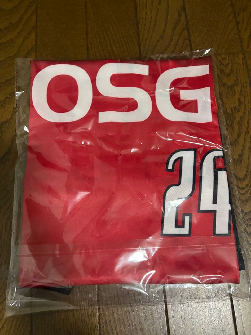 ⭐︎ペネロペ⭐︎ 三遠ネオフェニックス　グッズ