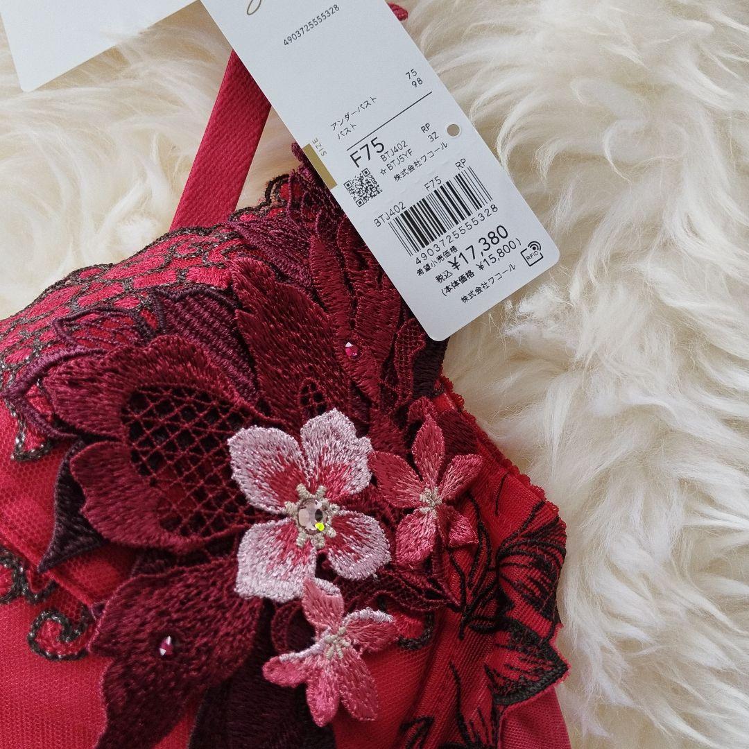 salute　サルート　02G 02グループ　F75 Ｌ　セット　RP