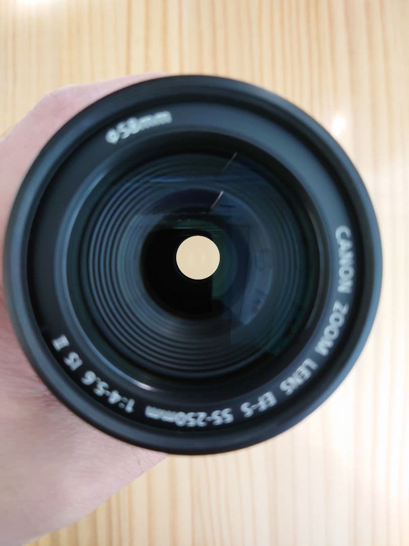 Canon キャノン EF-S 55-250mm F4-5.6 IS II
