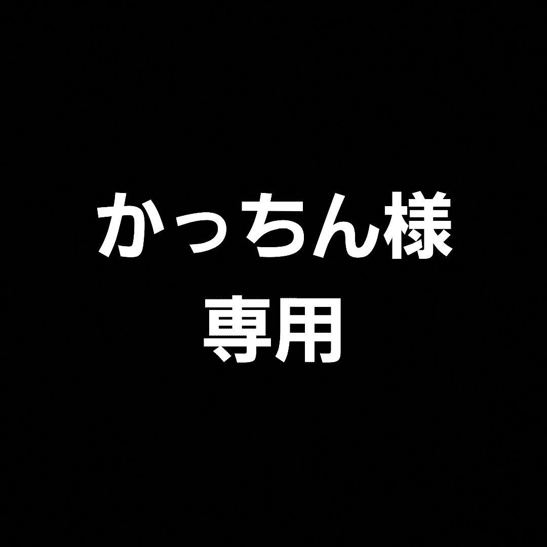 かっちん【未開封】Panasonic M-65(L) caosバッテリー