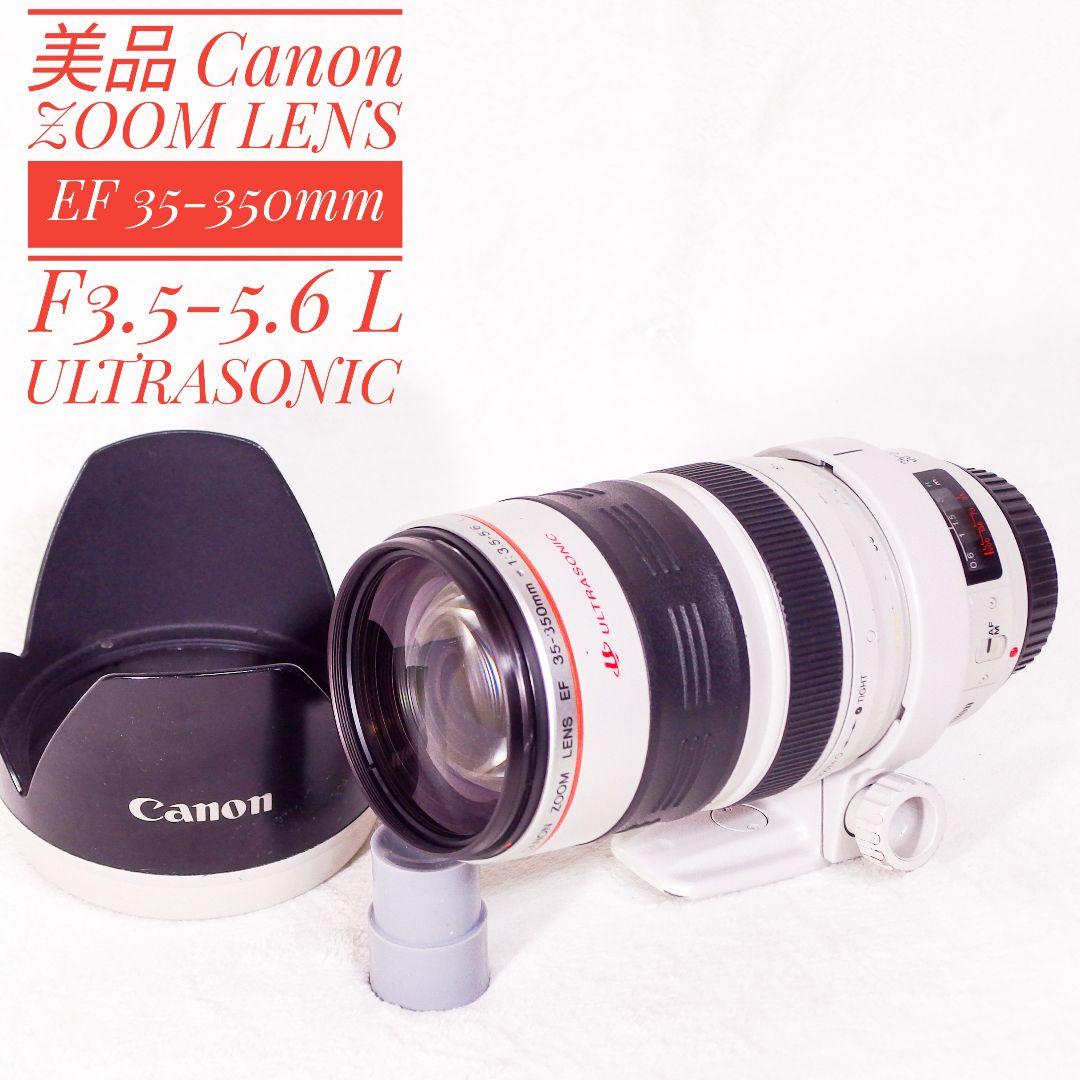 実用 美品 Canon EF 35-350mm F3.5-5.6 L USM