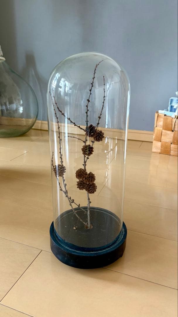 フランスアンティーク　ガラスドーム