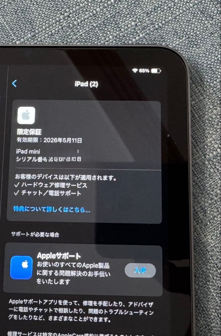 エサクタiPad mini7 A17pro Wi-Fiモデル 128GB