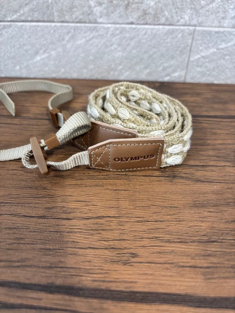 OLYMPUS PEN E-PL10 シャッター数1347