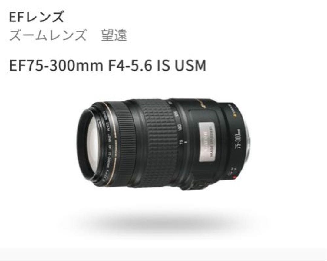 レンズ(ズーム) EF75-300mm F4-5.6 IS USM