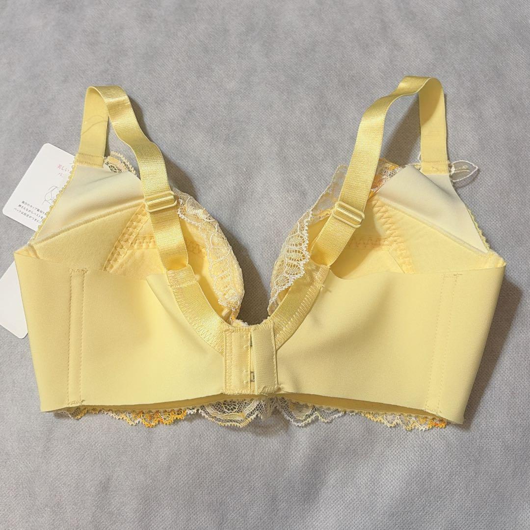 ワコール　パルファージュ　アドマイヤーブラ＆ソング　D65　新品　匿名配送