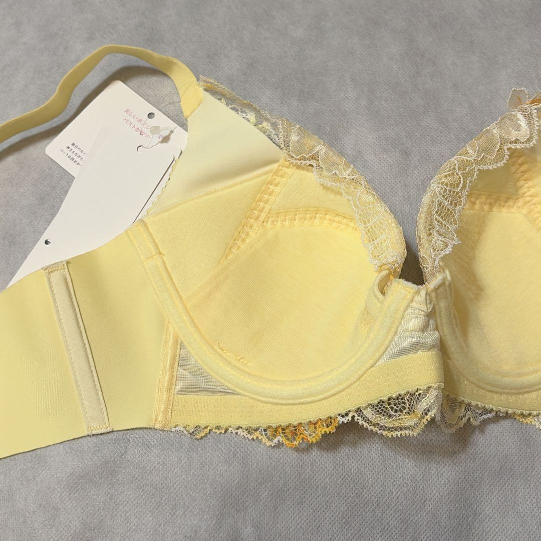 ワコール　パルファージュ　アドマイヤーブラ＆ソング　D65　新品　匿名配送