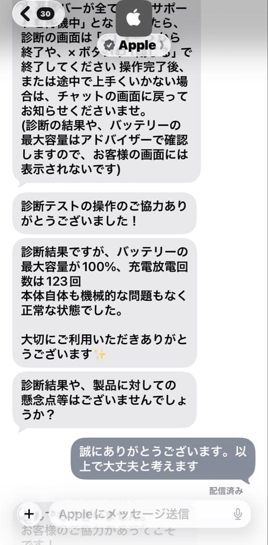AiPad Pro 12.9インチ 第3世代 256GB 最大容量100％