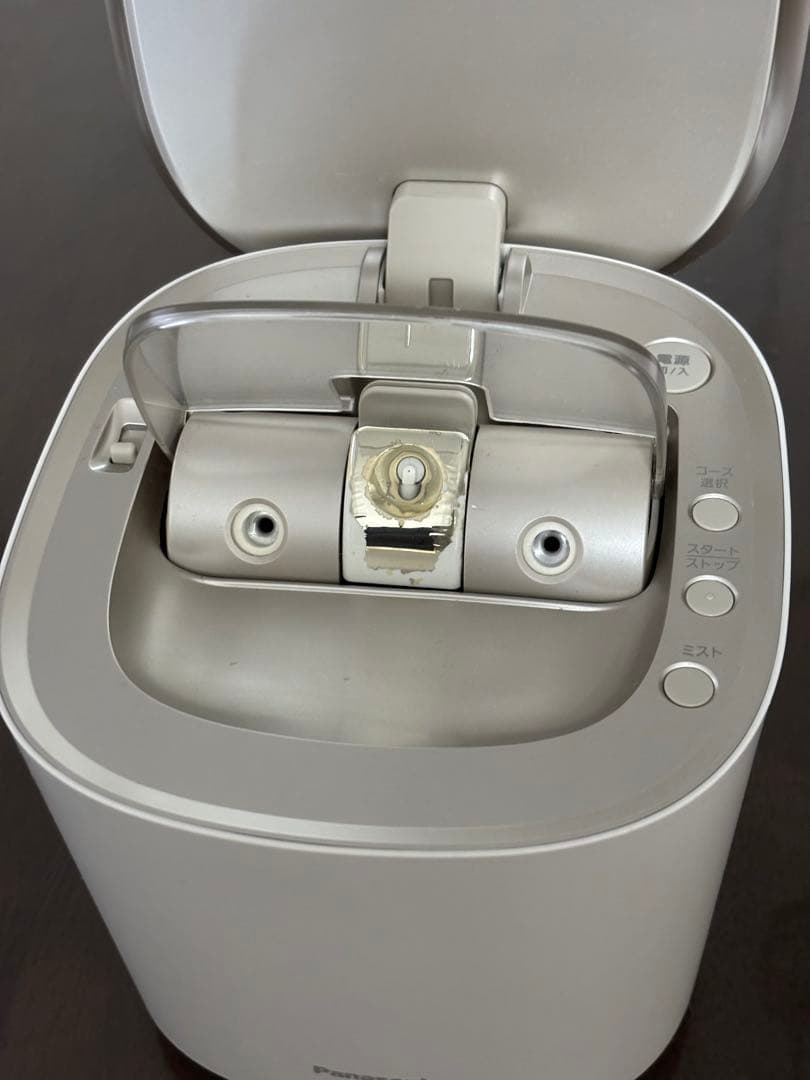 Panasonic EH-SA0B-N スチーマー　ナノケア