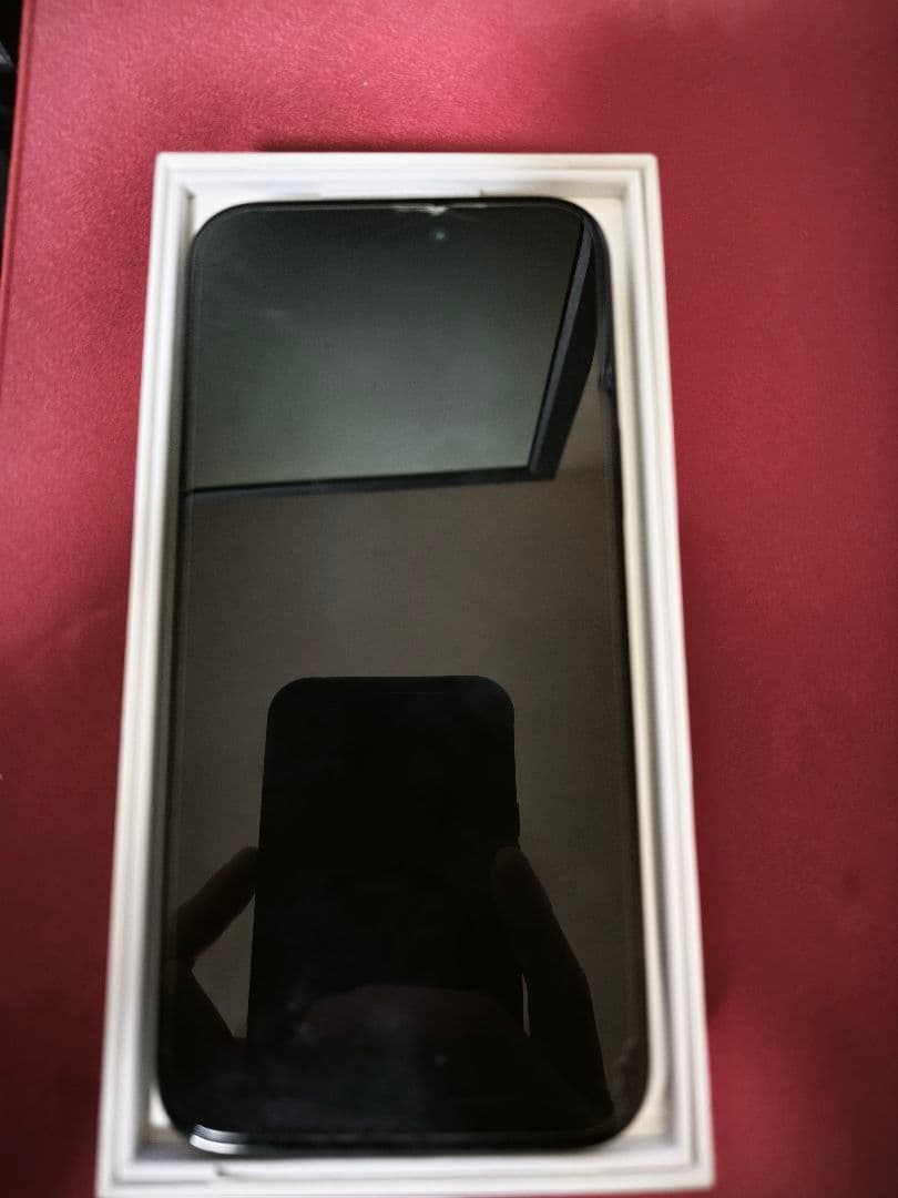 【美品】Apple iPhone 15 Plus 256GB ブラック おまけ付