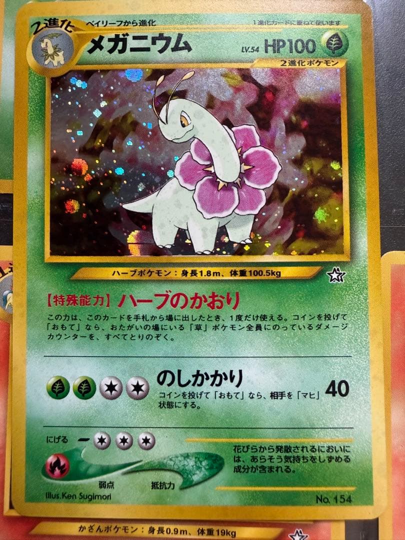 ポケモンカード　ネオ　金銀発売記念　プレミアムファイル　旧裏　9枚セット　美品