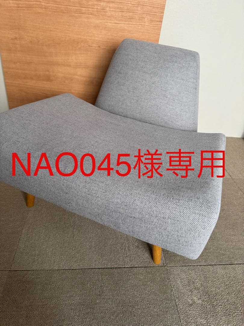その他 NAO045