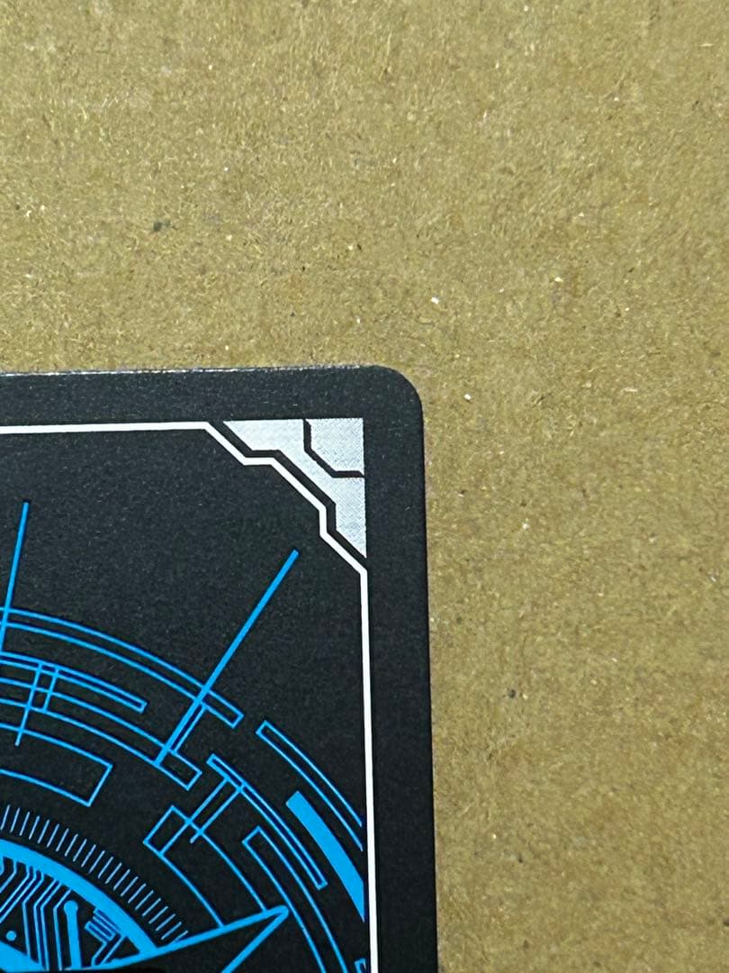 ヴァンガード スノウスキップパルヴィ LSR