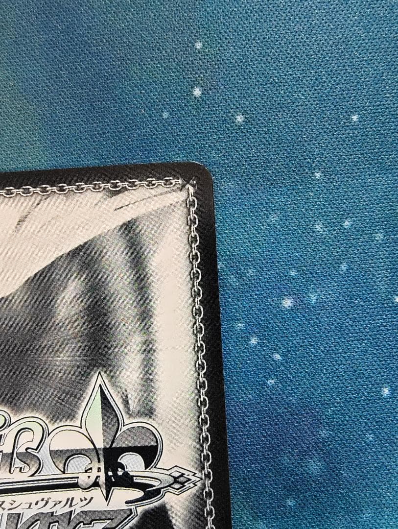 共に戦場へ レーナ SP サイン 電撃文庫 86-エイティシックス