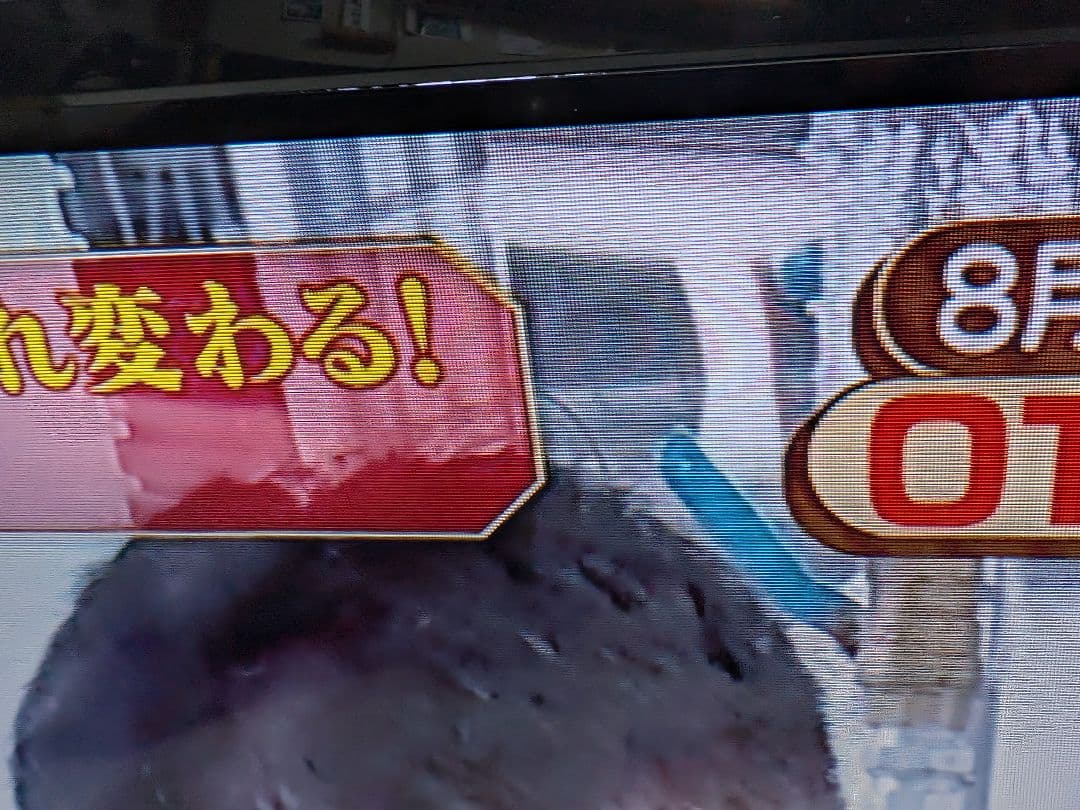 IRIS OHYAMA ３２インチ ハイビジョン液晶テレビ 32WB10P