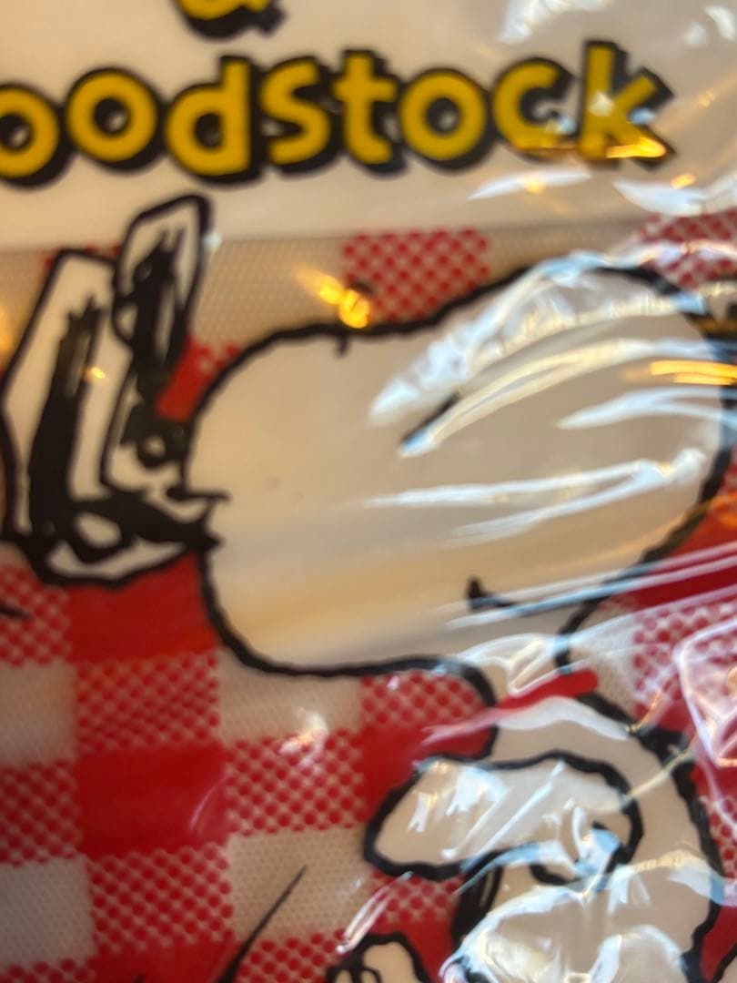 公*o様 【訳あり】スヌーピー 診察券ケース　6個セット