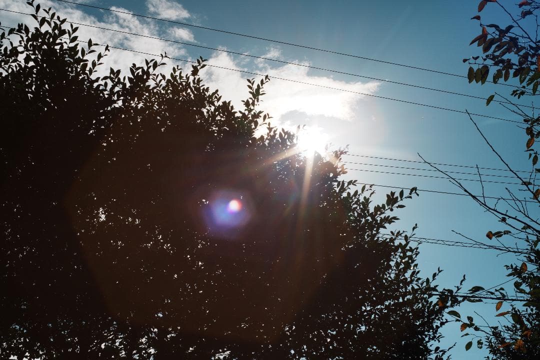 【この値段でライカ級】富岡光学製 XR RIKENON 50mm F2 209