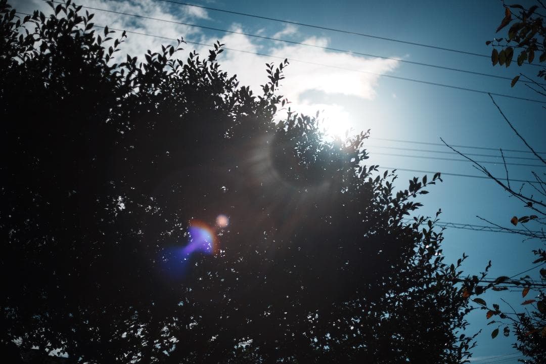 【この値段でライカ級】富岡光学製 XR RIKENON 50mm F2 209