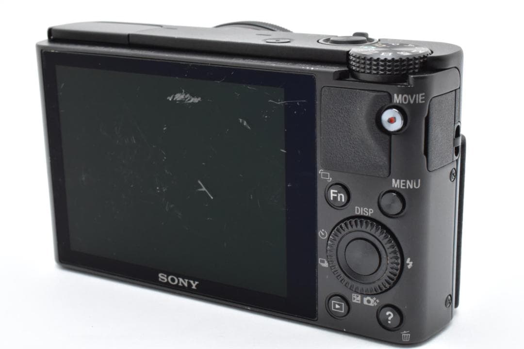 ソニー　Sony Cyber-shot DSC-RX100 1339