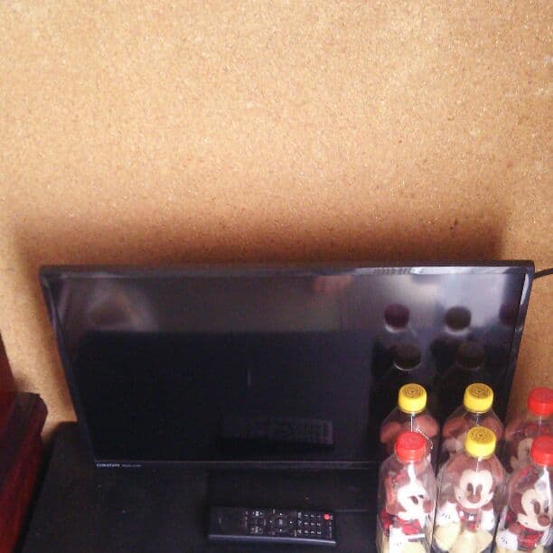 Orion液晶テレビ24インチ