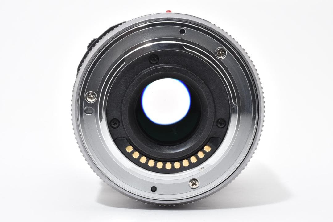 パナソニック G VARIO 45-175mm F4.0-5.6 #21411