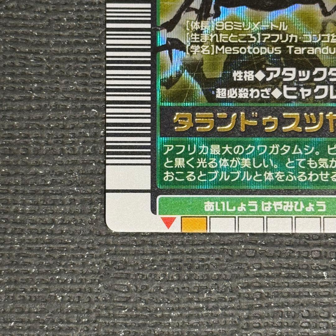 甲虫王者ムシキング タランドゥスツヤクワガタ　2003秋