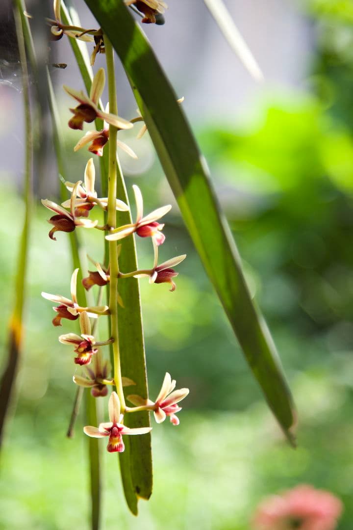 Canon EF 24-105mm f4L IS USM ＋ NDフィルタ